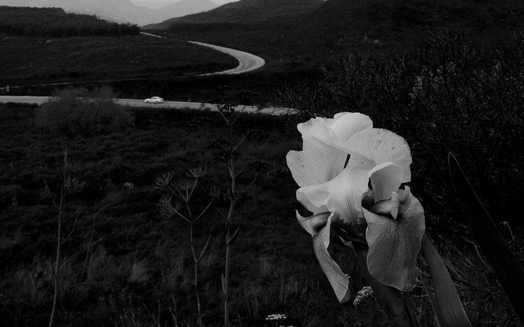 Black and White Photography: Is it Art?