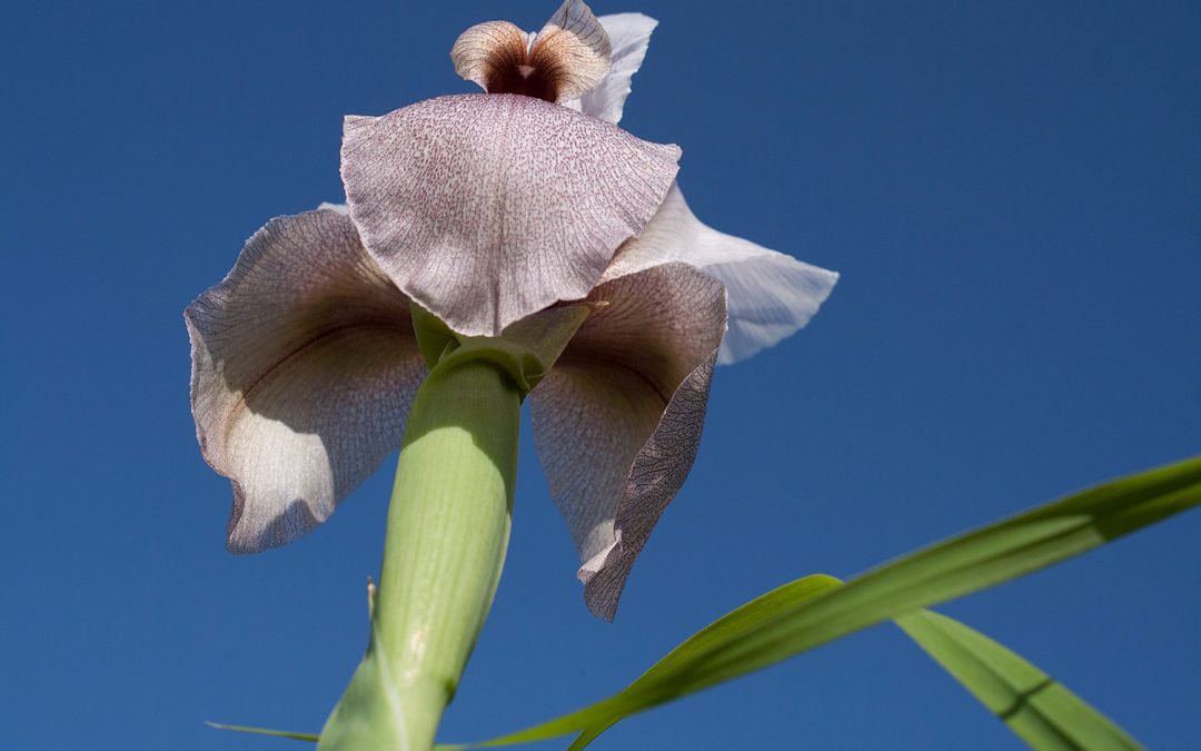 Photoshop Tips: Embed Color Profile